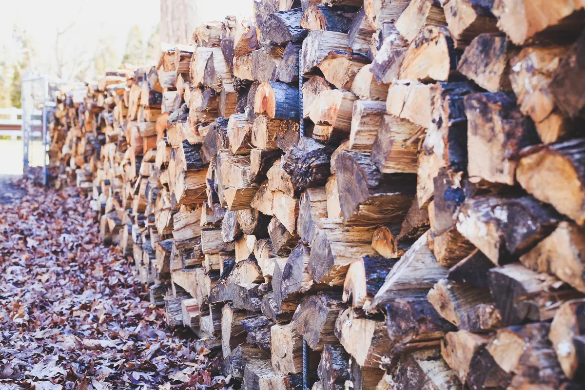 A Seasonal Guide to Drying and Storing Firewood in the UK